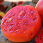 Jamestown Hybrid Tomato Seeds
