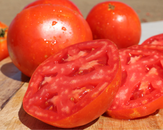 Semillas de tomate híbrido Saybrook