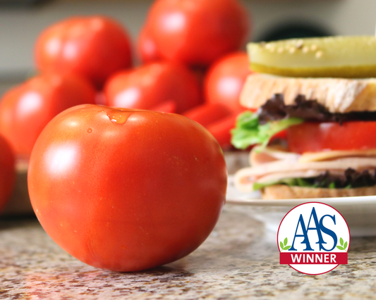 Semillas de tomate híbrido Celebrity Plus