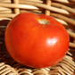 Heatmaster Hybrid Tomato Seeds