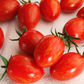 Red Torch Hybrid Tomato Seeds