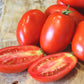 Picus Hybrid Tomato Seeds