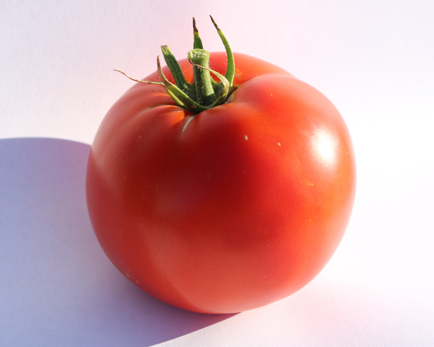 Big Beef Plus Hybrid Tomato Seeds