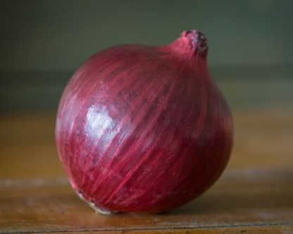 Red Nugent Hybrid Onion