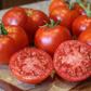 Better Boy Plus Hybrid Tomato Seeds