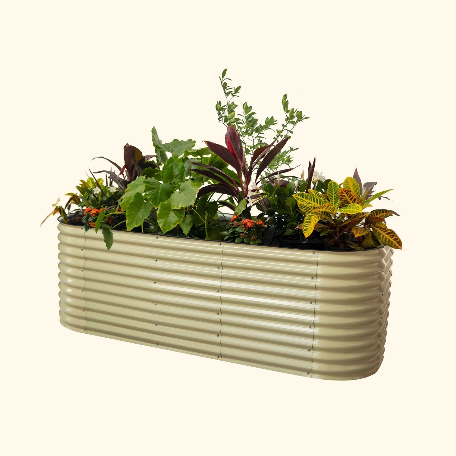 A pearl white extra tall 10 in one Jumbo Modular Metal Raised Garden Bed metal raised garden bed with colorful flowers and plants on a white background.