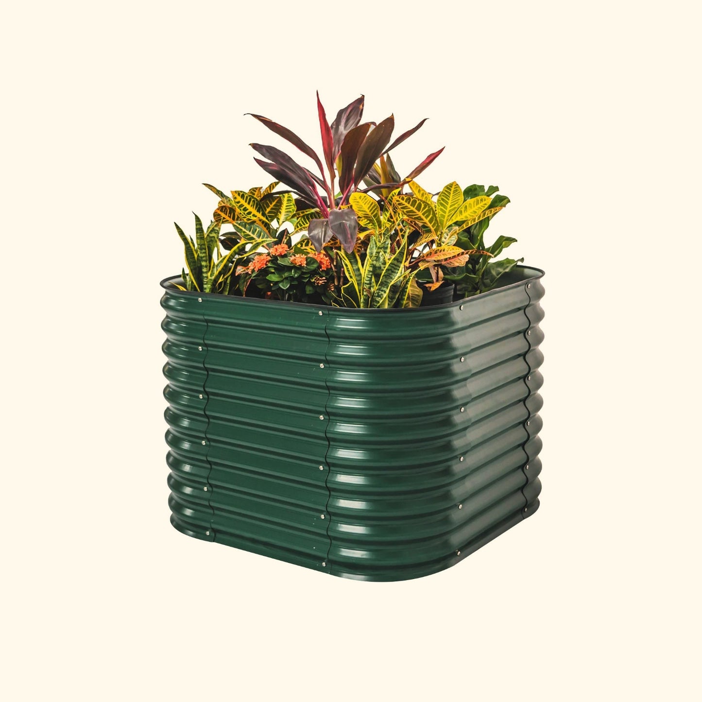 A british green 32 inch extra tall 4 in 1 small modular metal Garden Bed with colorful flowers and plants on a white background.