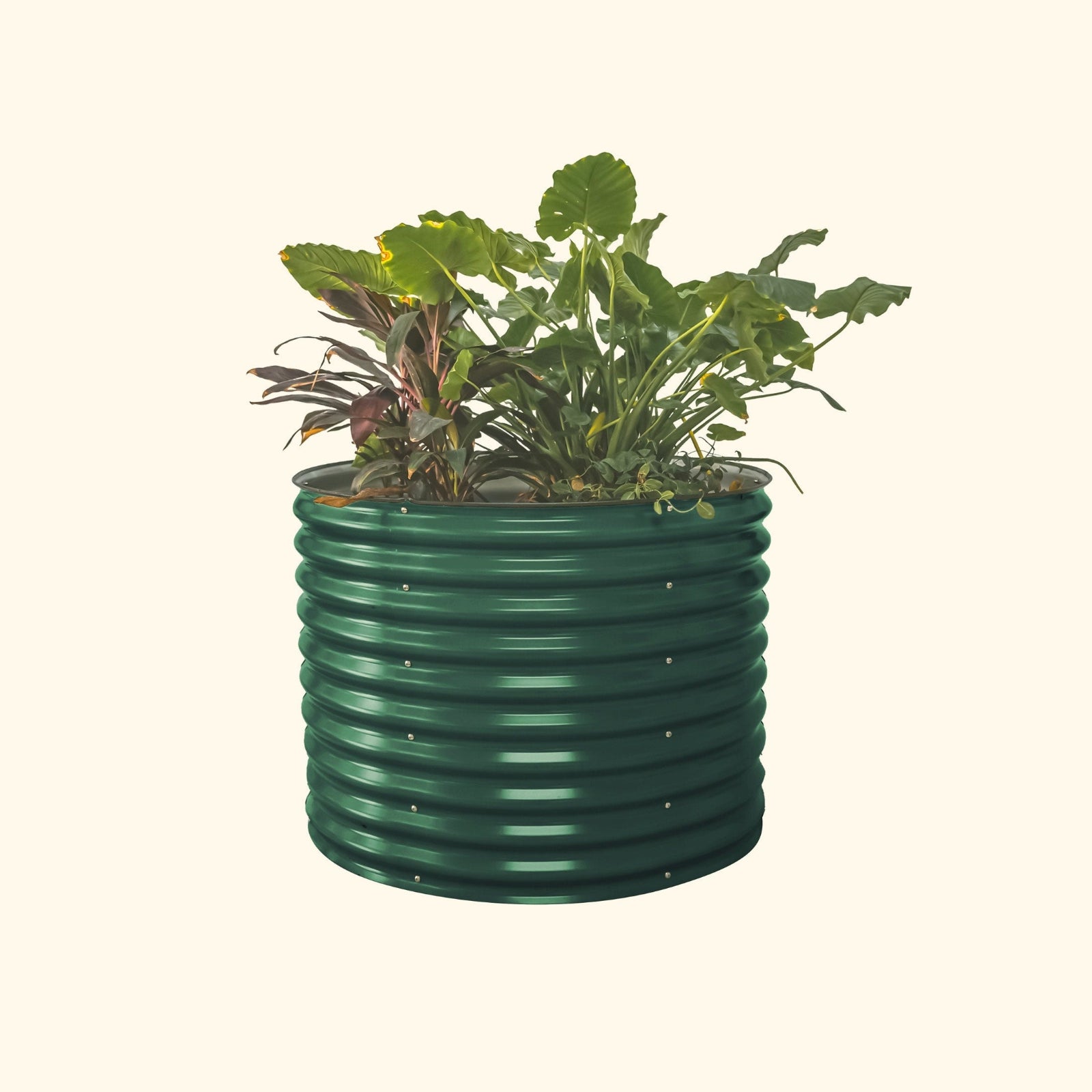A british green 32 inch extra tall  42 inch wide round modern metal Garden Bed with colorful flowers and plants on a white background.