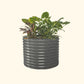 A modern gray 32 inch extra tall  42 inch wide round modern metal Garden Bed with colorful flowers and plants on a white background.