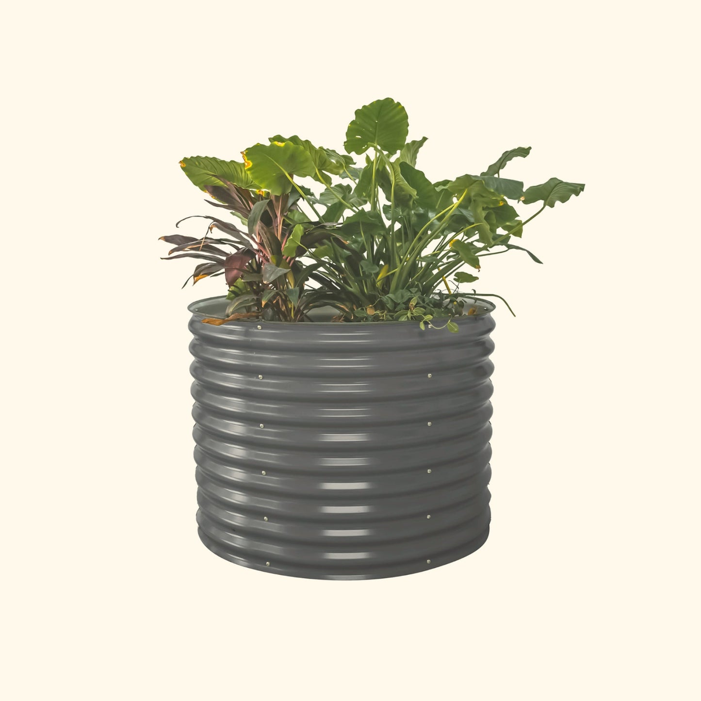A modern gray 32 inch extra tall  42 inch wide round modern metal Garden Bed with colorful flowers and plants on a white background.