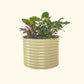 A pearl white 32 inch extra tall  42 inch wide round modern metal Garden Bed with colorful flowers and plants on a white background.