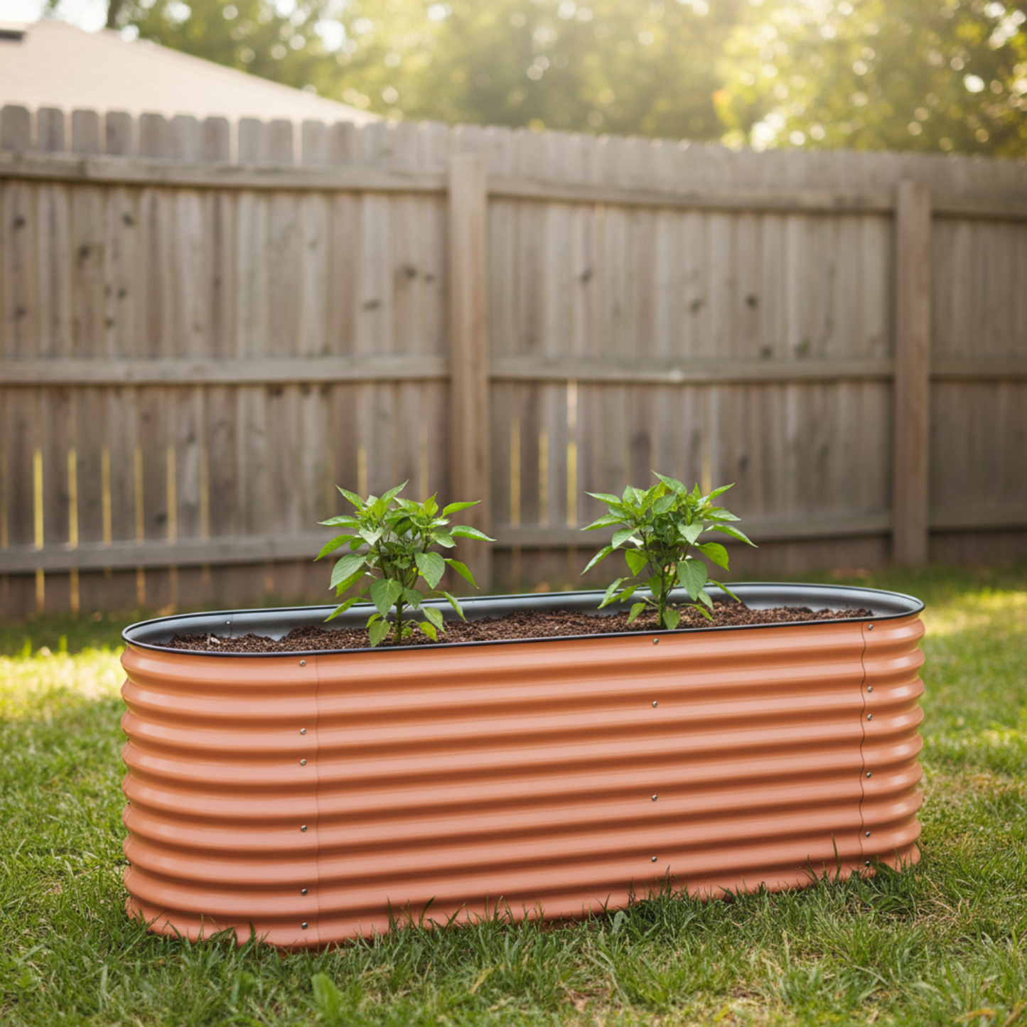 Terra cotta raised garden bed with two young pepper plants in fenced backyard