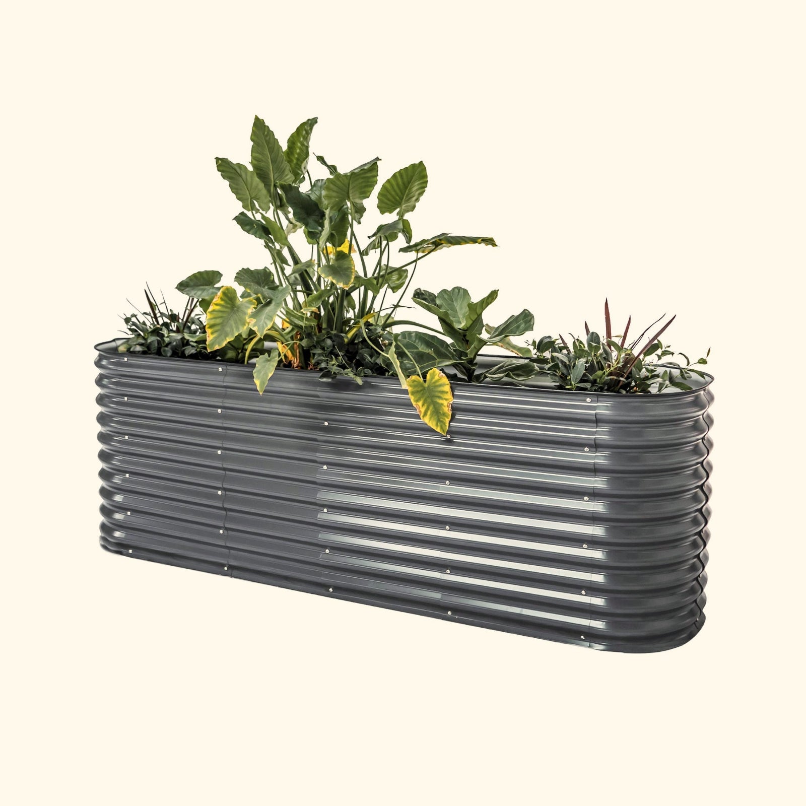 A modern gray extra tall 9 in one Modular Metal Raised Garden Bed metal raised garden bed with colorful flowers and plants on a white background.