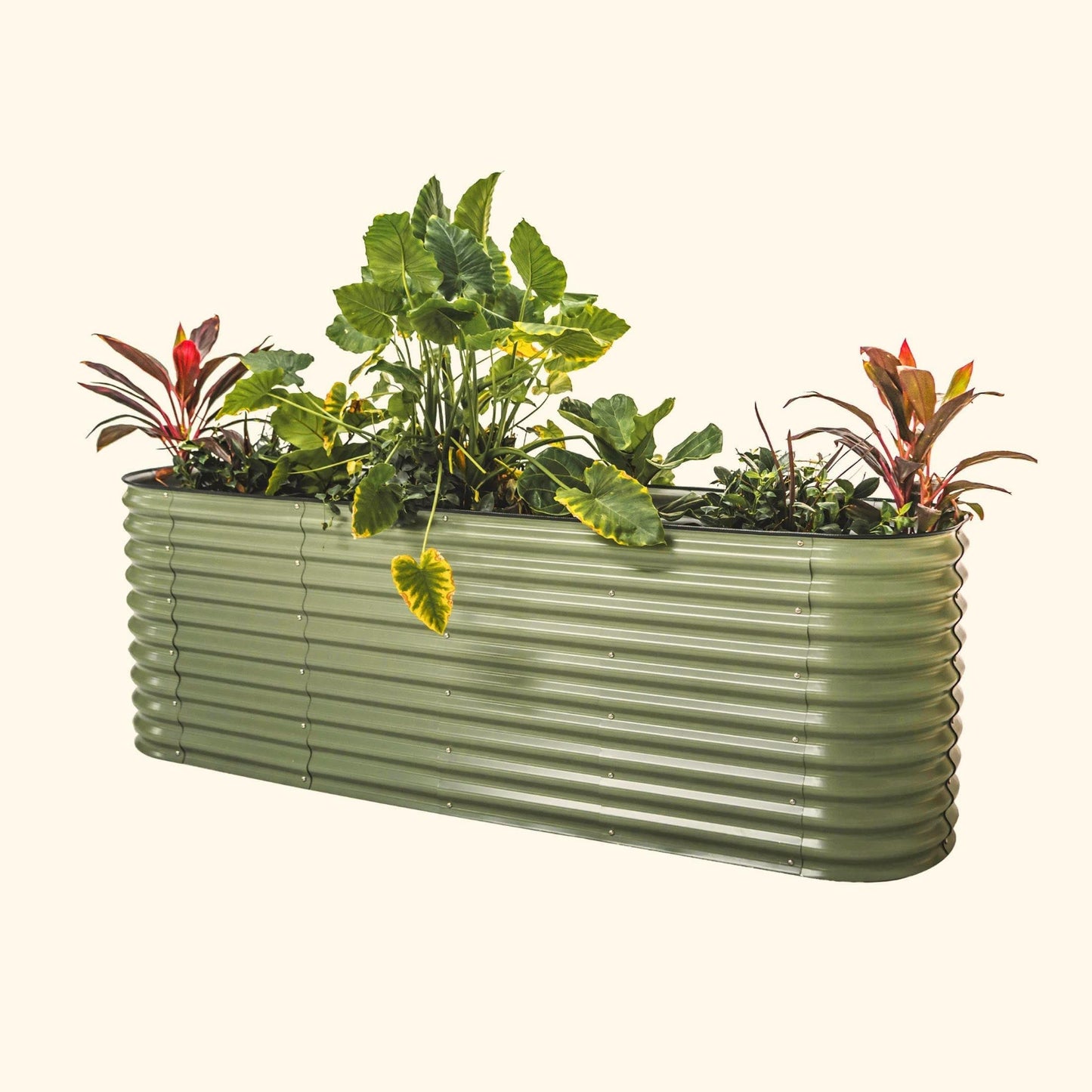 A olive green extra tall 9 in one Modular Metal Raised Garden Bed metal raised garden bed with colorful flowers and plants on a white background.