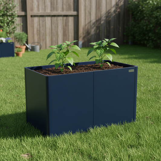 Image of the midnight blue raised garden bed with young pepper plants in backyard