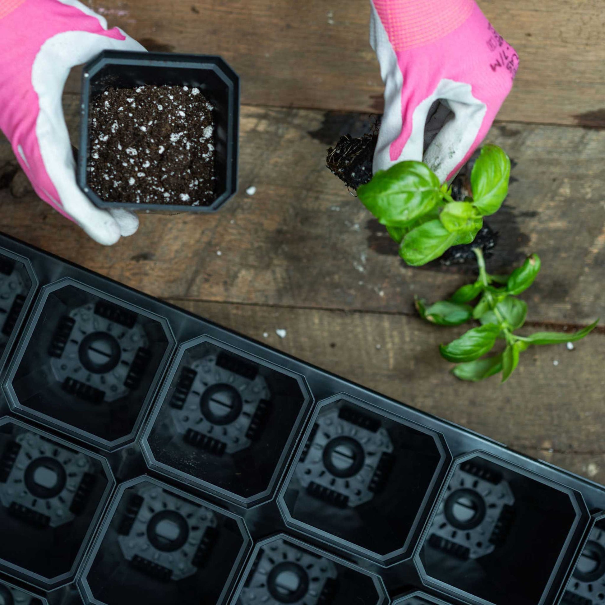 plant pots and seed trays 3.3" Heavy Duty Seed Starting Pots Multicolor / 36