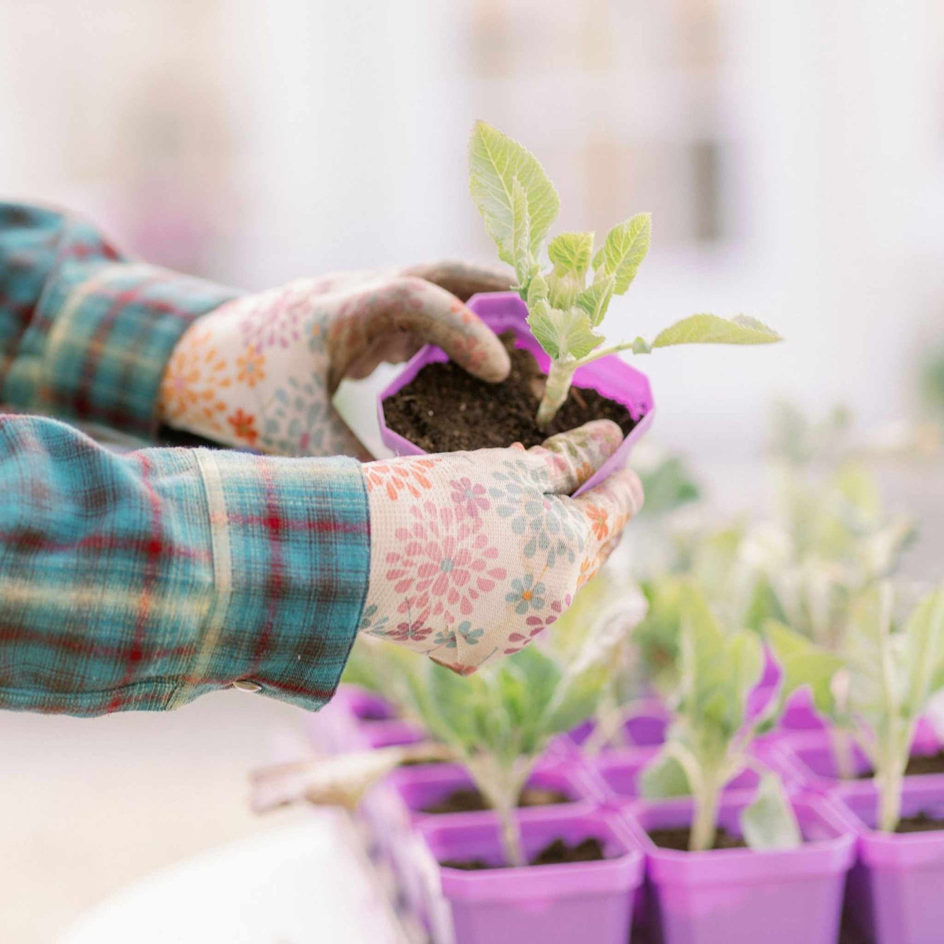 small pots for planting seeds 3.3" Heavy Duty Seed Starting Pots Multicolor / 36