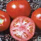 Amelia VR Hybrid Tomato Seeds