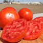 Saybrook Hybrid Tomato Seeds