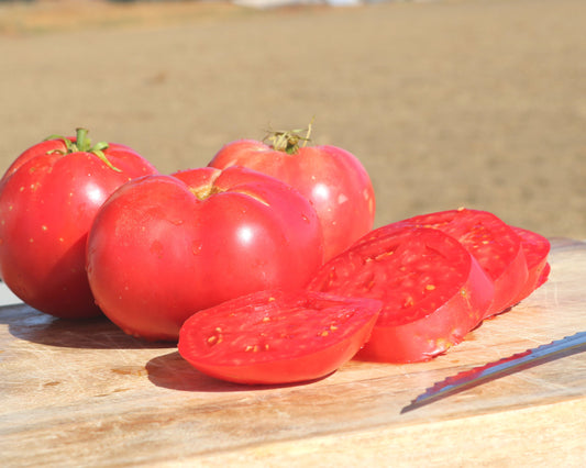 Semillas de tomate híbrido Pink Girl