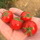 Unicorn Hybrid Tomato FNT