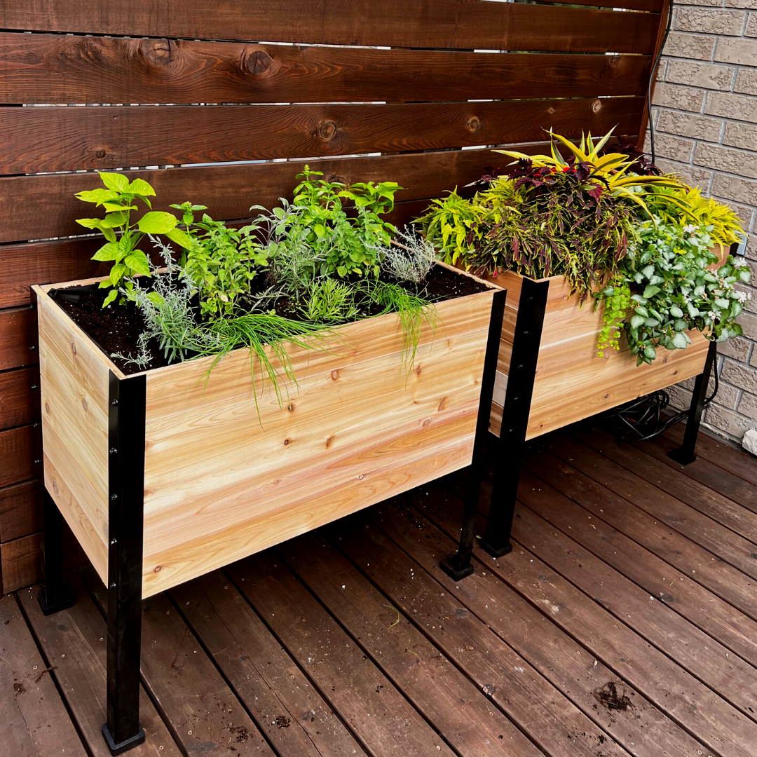 18" x 36"  Raised Garden Bed - 30" TALL
