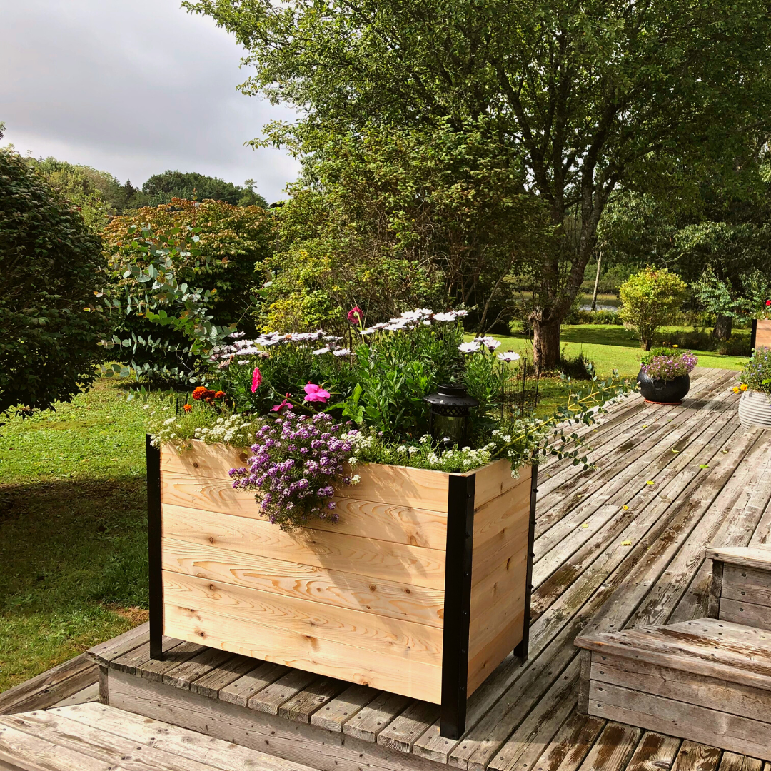 Premium Cedar Raised Planter Box – 18" x 36" x 24"