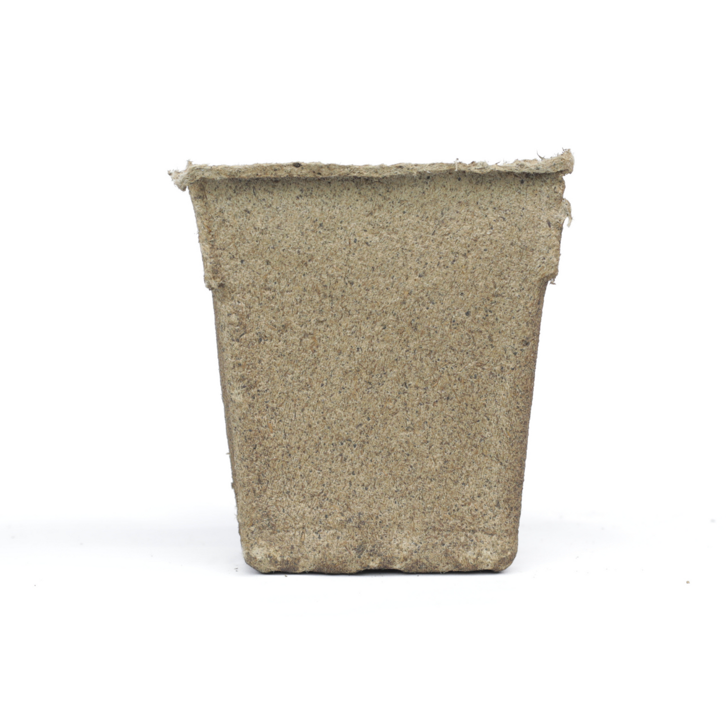 4" square biodegradable seed starting pot on white background