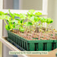 1020 seedling trays with young plants  shown sitting on one of the shelves of the 4 Tier Grow Light Garden Pro.