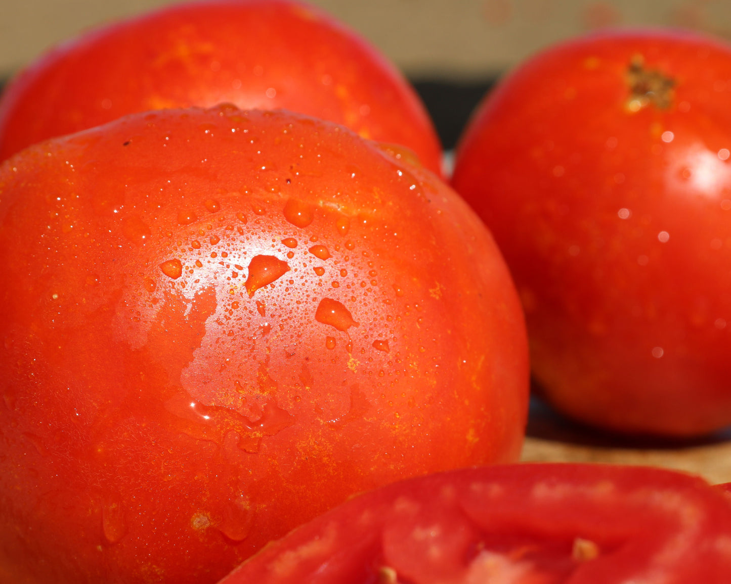 Saybrook Hybrid Tomato Seeds