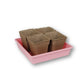 angled view of four 4" square biodegradable cowpots seed starting pots in pink seed starting tray