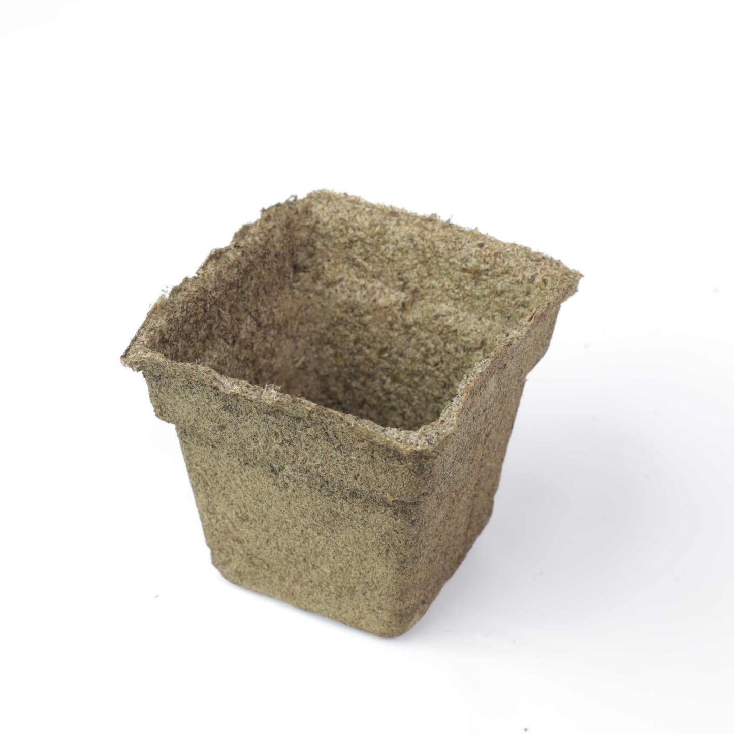 angled view of biodegradable cowpot seed starting pot on white table