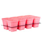 5" Nursery Pots with Insert Tray