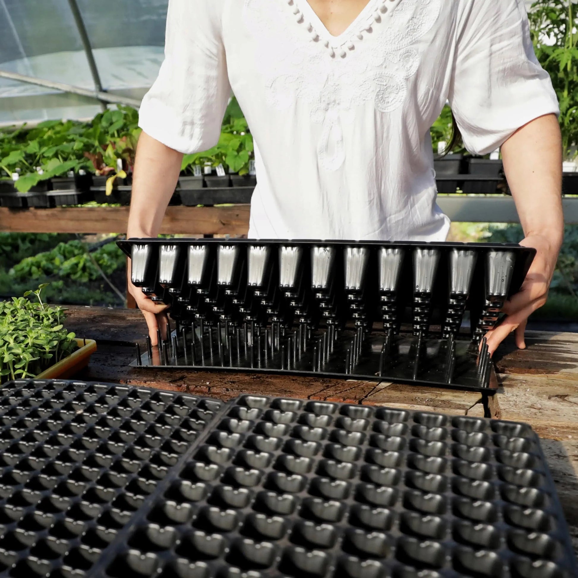 plug trays for planting seeds Plug Popper for Cell Trays