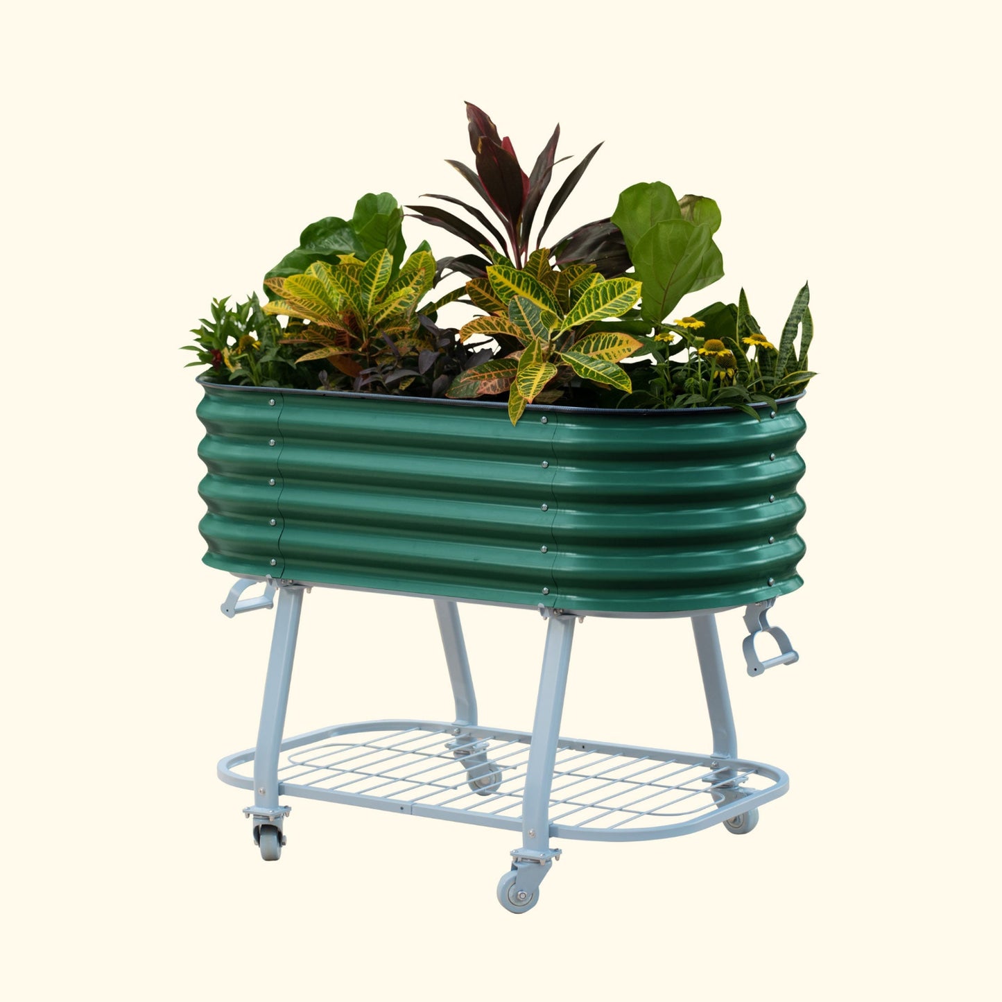 British Green elevated metal garden bed with wheels and self watering system with plants on a white background