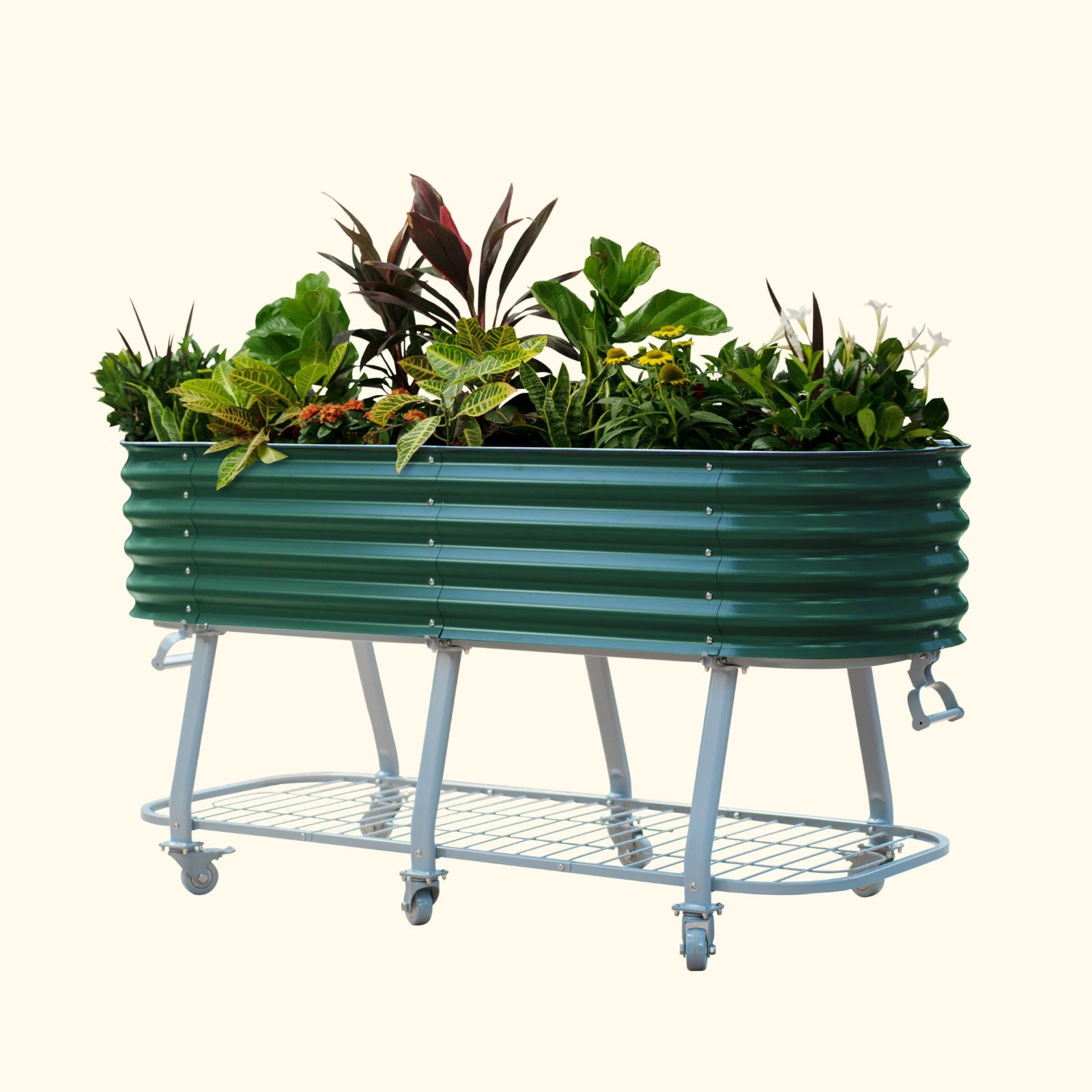 British Green elevated metal garden bed with wheels and self watering system with plants on a white background