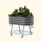 Modern Gray elevated metal garden bed with wheels and self watering system with plants on a white background
