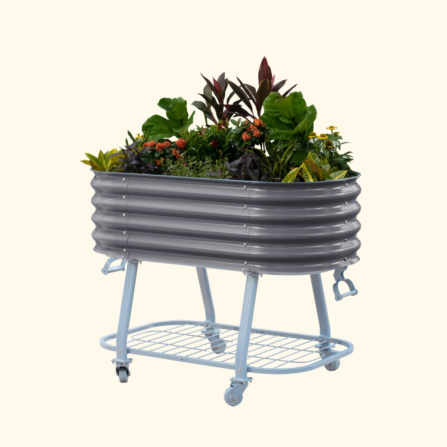Modern Gray elevated metal garden bed with wheels and self watering system with plants on a white background