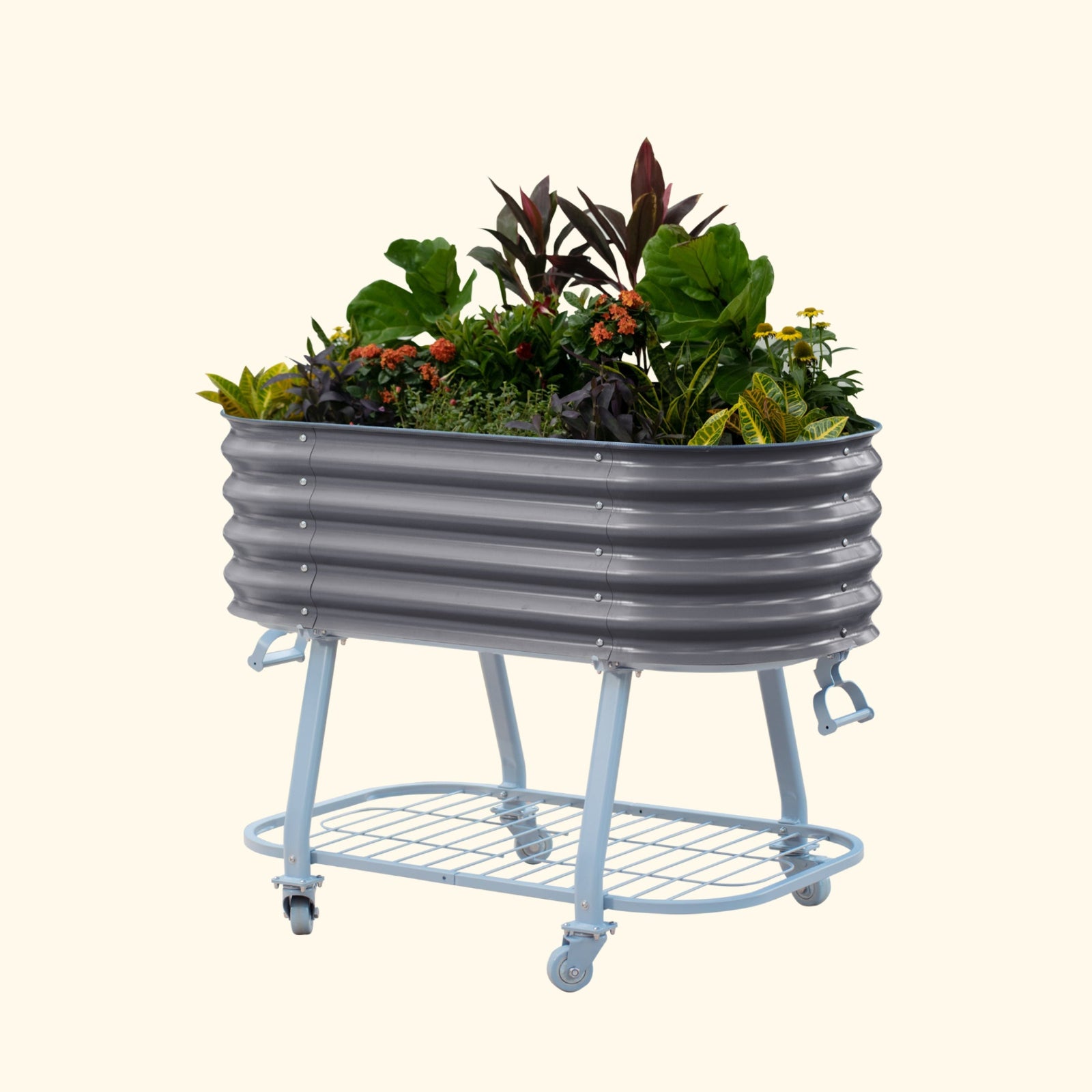 Modern Gray elevated metal garden bed with wheels and self watering system with plants on a white background