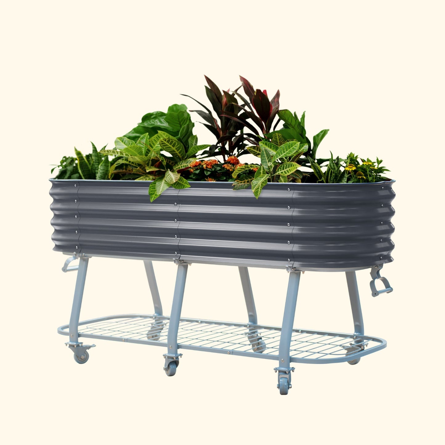 Modern Gray elevated metal garden bed with wheels and self watering system with plants on a white background