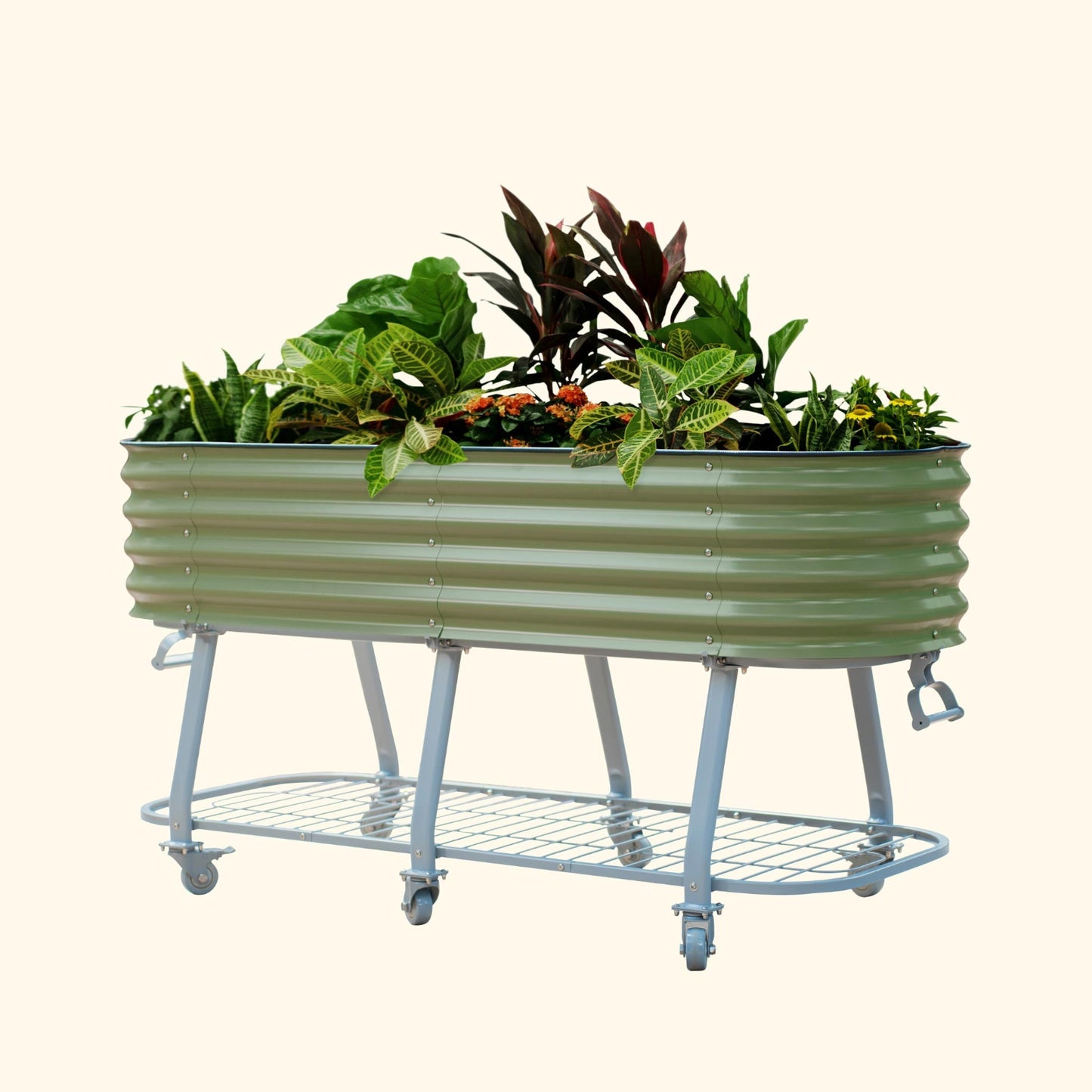 Olive Green elevated metal garden bed with wheels and self watering system with plants on a white background