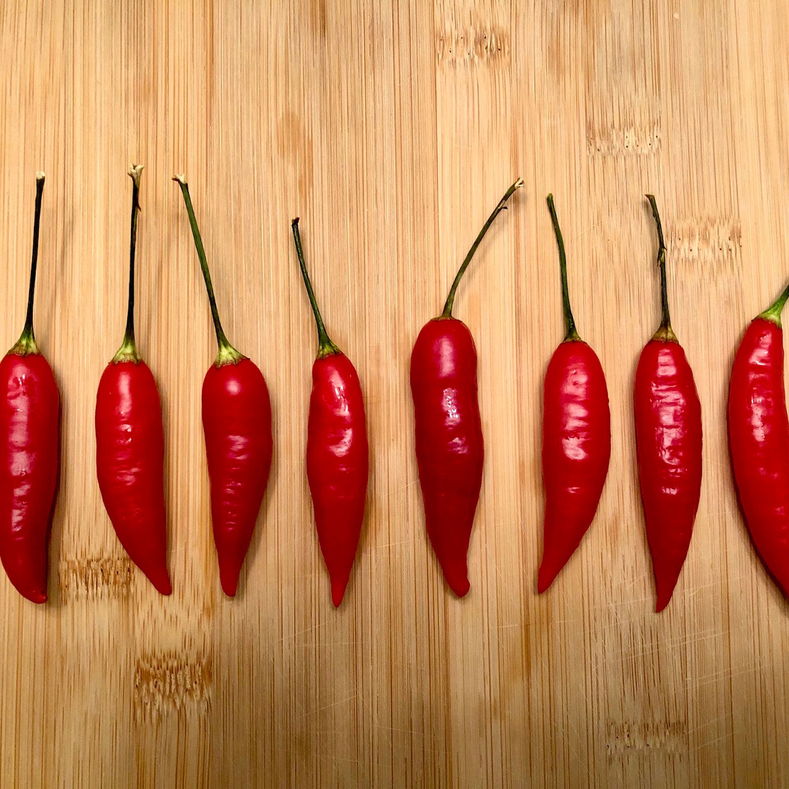 Aji Omnicolor Pepper Seeds