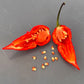 Apocalypse Scorpion Pepper Seeds