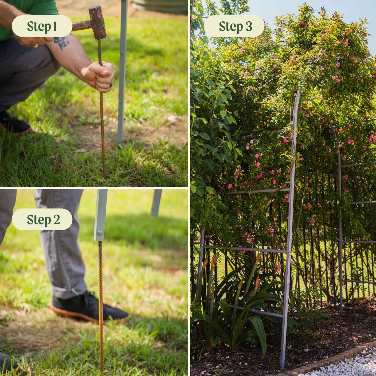 plant trellis system Arched Trellis System, 4.5'