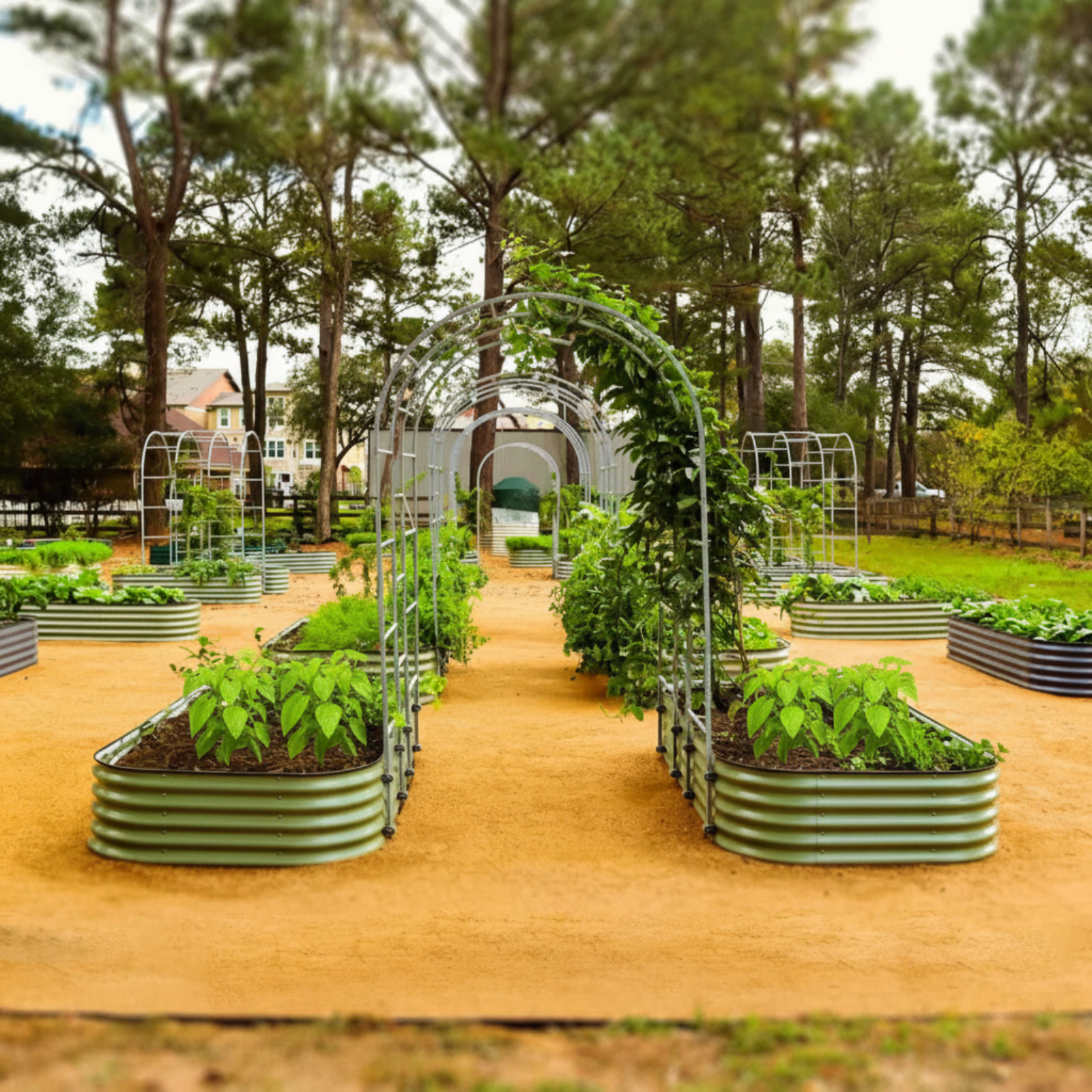 arched plant trellis Arched Trellis System, 4.5'