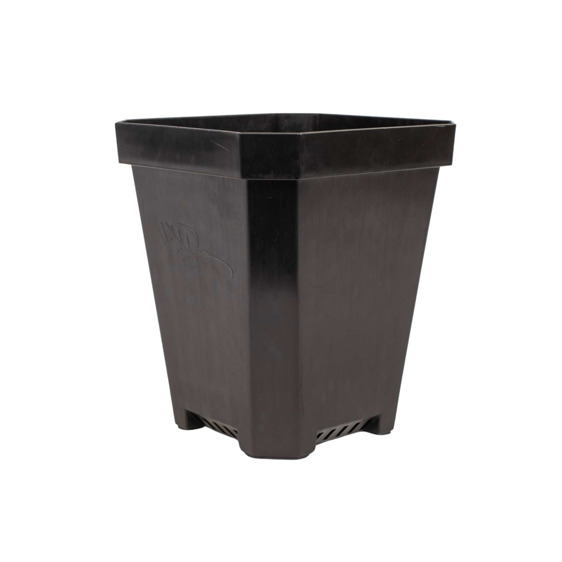 deep planting pots 5" Heavy Duty Seed Starting Pots Purple / 40 Pots