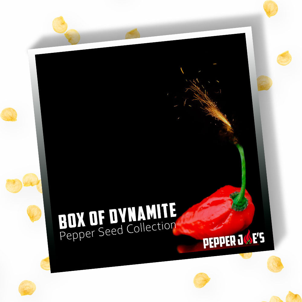 Box of Dynamite Super Hot Seed Collection