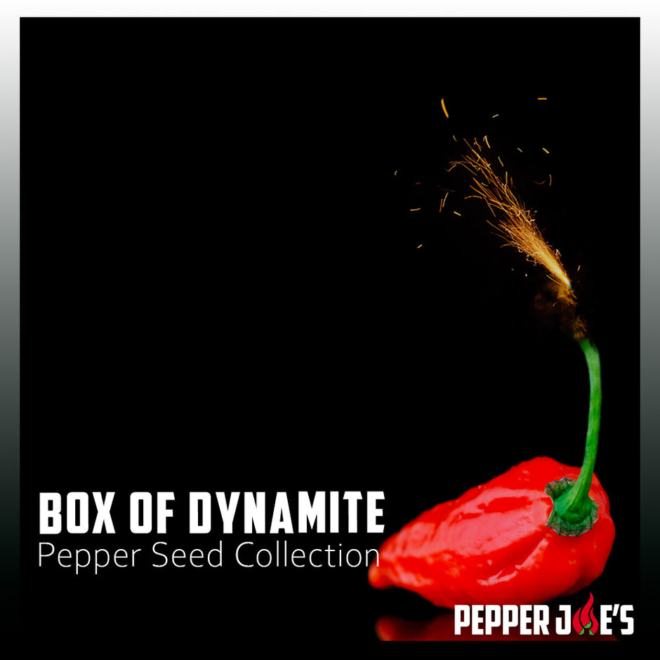 World's Hottest Pepper Seeds Pepper Joe’s