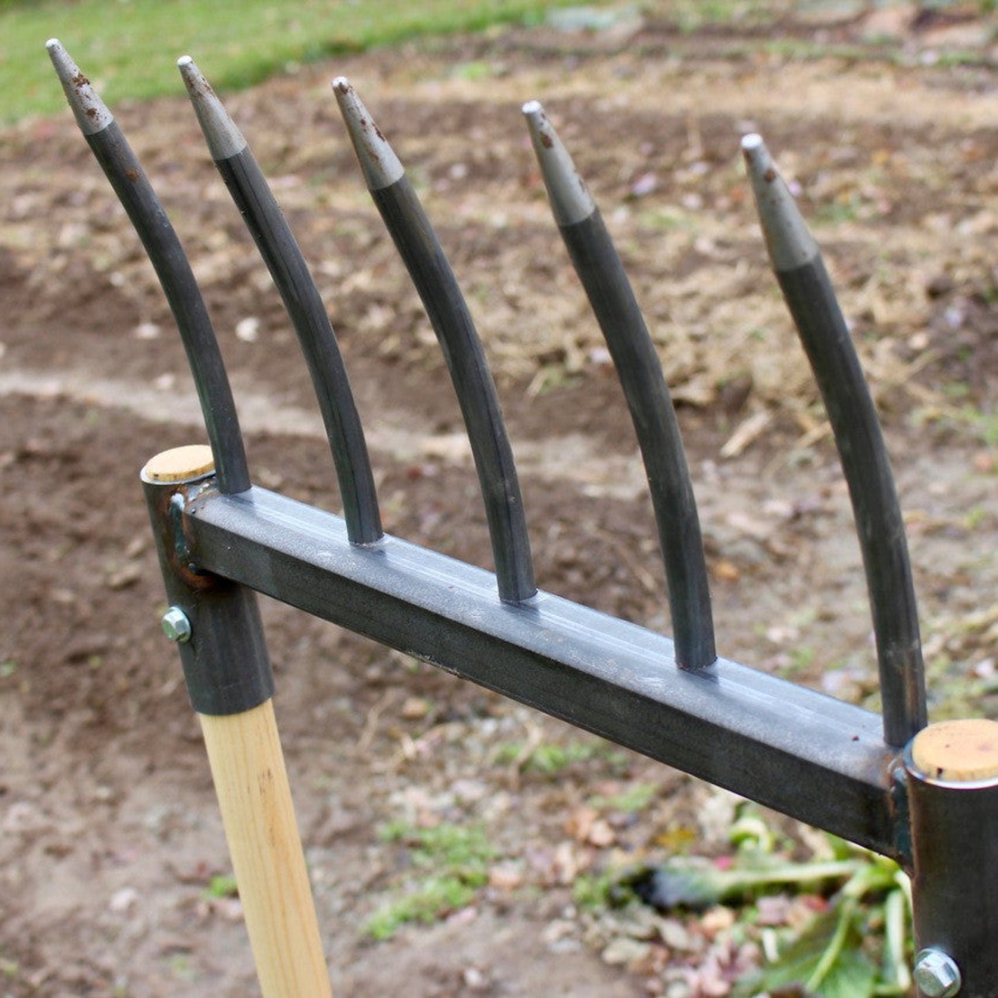 Broadfork Garden Tool for no-till soil aeration and cultivation with wooden handle and metal tines in a garden bed