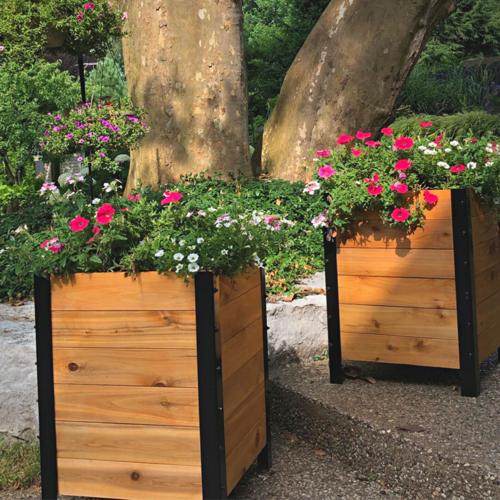 18 inch tall planter pots 18" x 18" Planter Box 24" TALL SHIPS IN FEBRUARY